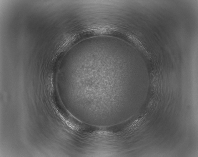 X0000052570590200507081704