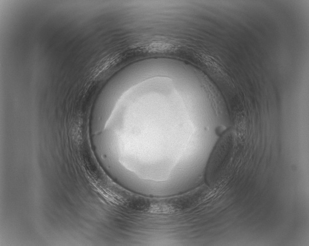 X0000052570591200507081704