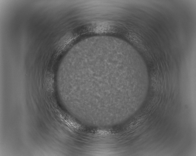 X0000052570592200507081704