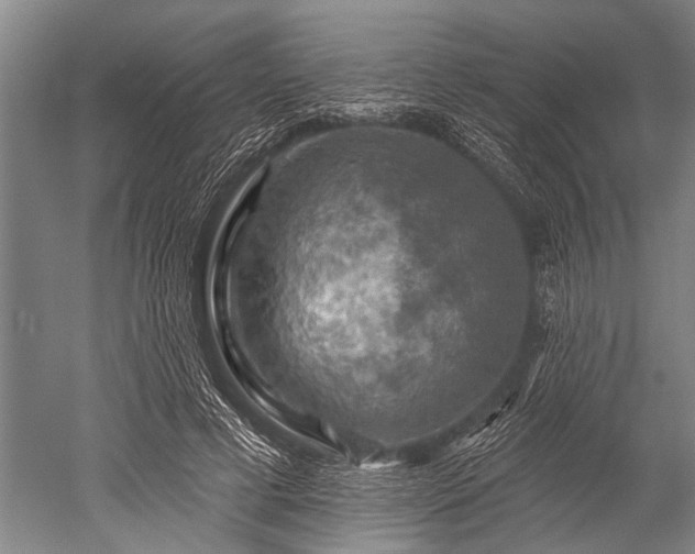 X0000052570593200507081704