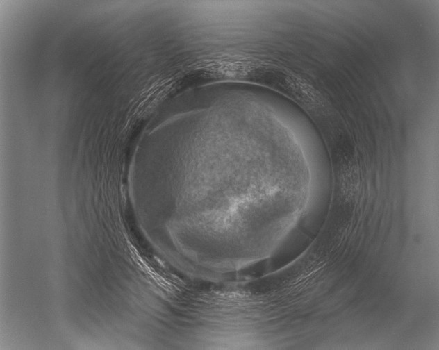 X0000052570594200507081704