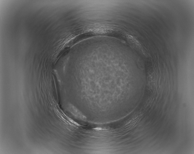 X0000052570596200507081704