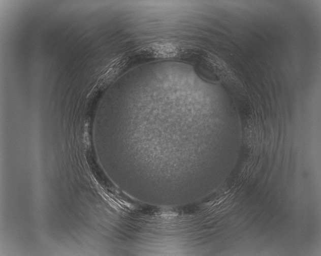 X0000052570598200507081704