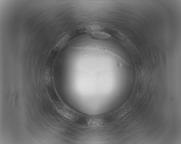 X0000052570599200507081704