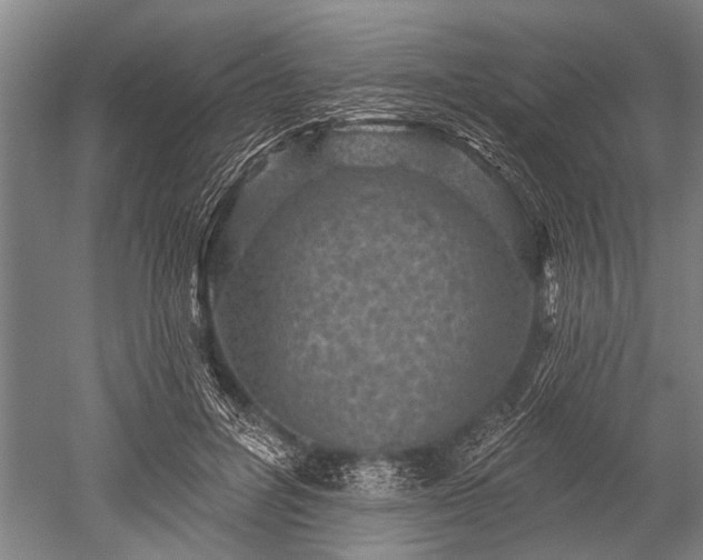 X0000052570600200507081704