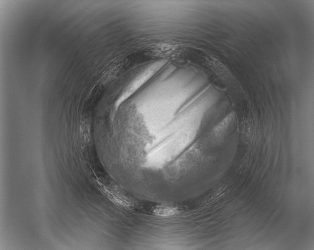 X0000052570602200507081703