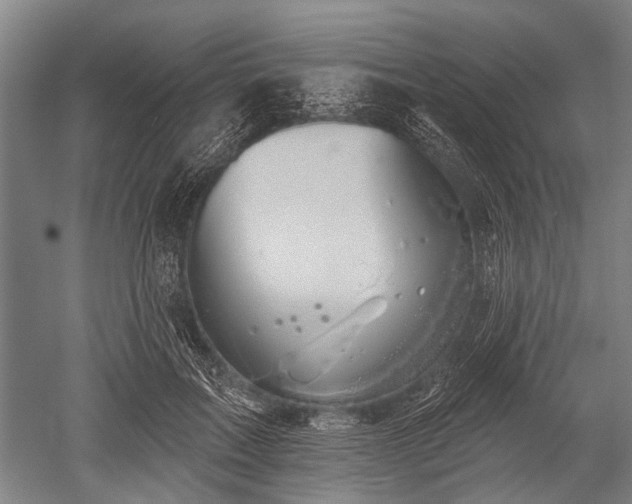 X0000052570603200507081703