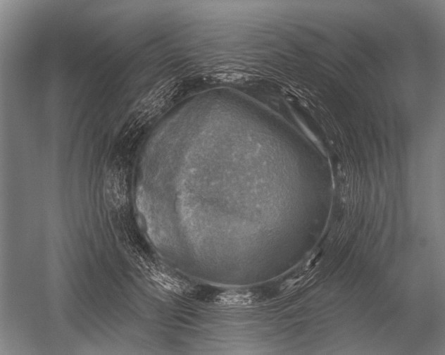 X0000052570606200507081703