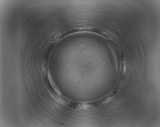 X0000052570607200507081703