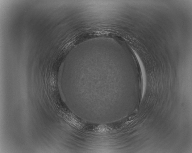 X0000052570608200507081703