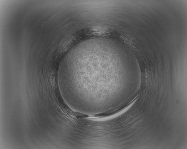 X0000052570615200507081703