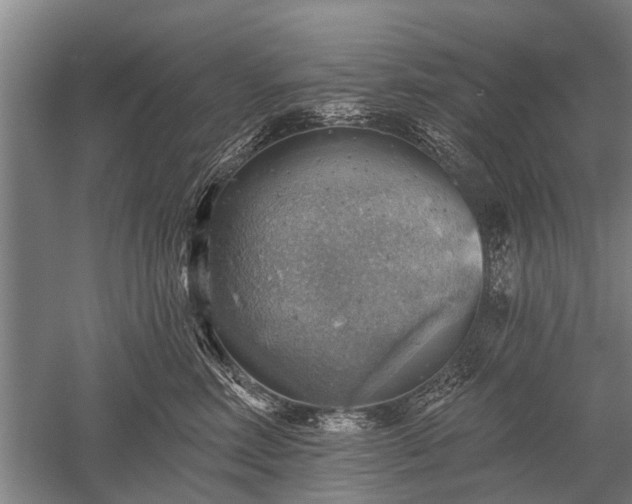 X0000052570618200507081703