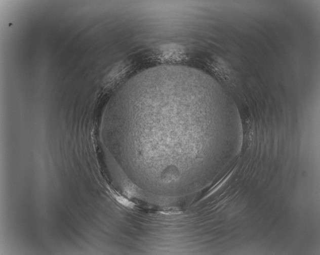 X0000052570619200507081703