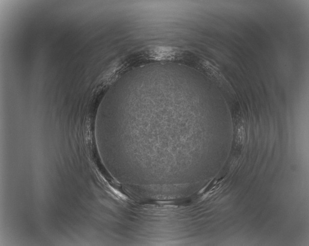 X0000052570620200507081703