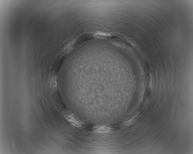 X0000052570621200507081703