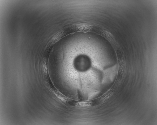 X0000052570622200507081703