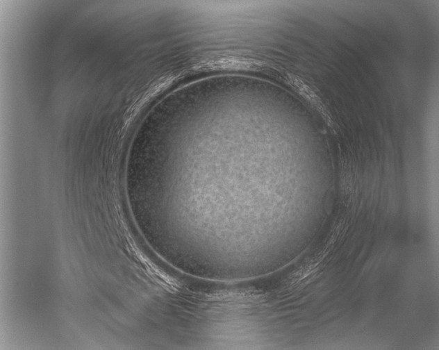 X0000052570625200507081702