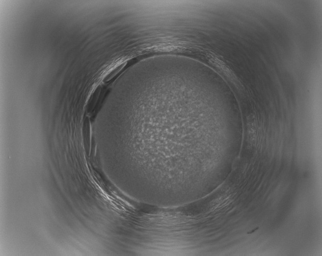 X0000052570626200507081702