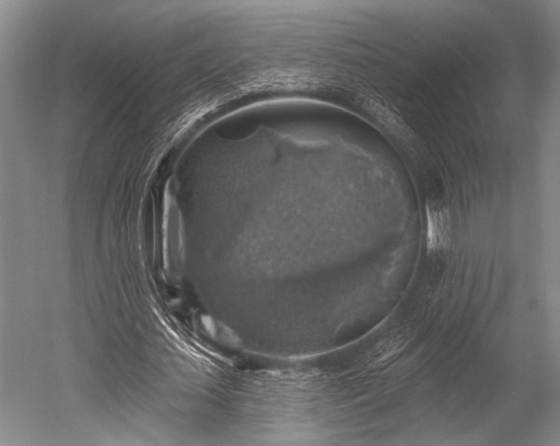 X0000052570627200507081702