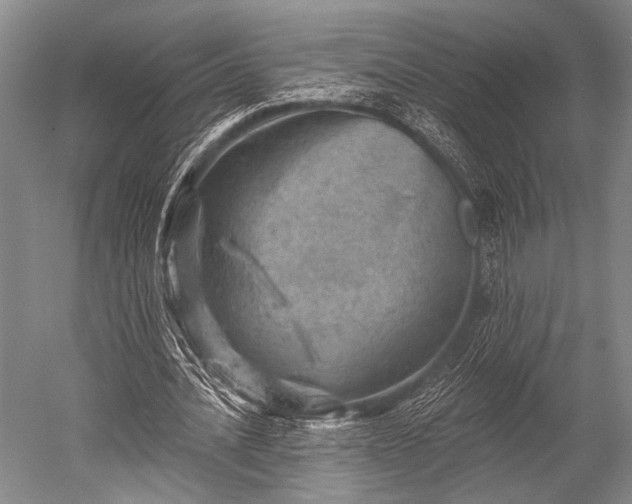 X0000052570628200507081702