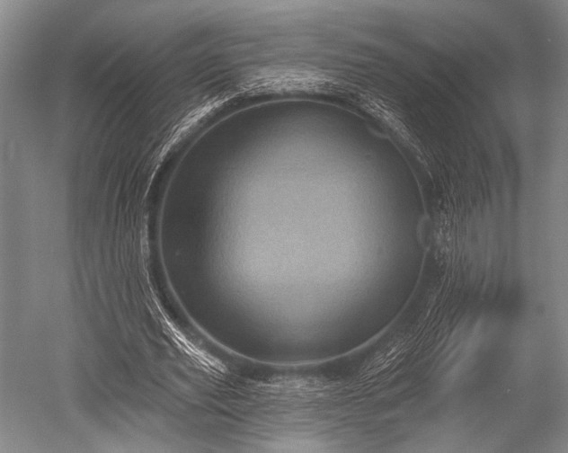 X0000052570629200507081702