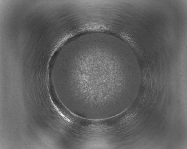 X0000052570630200507081702