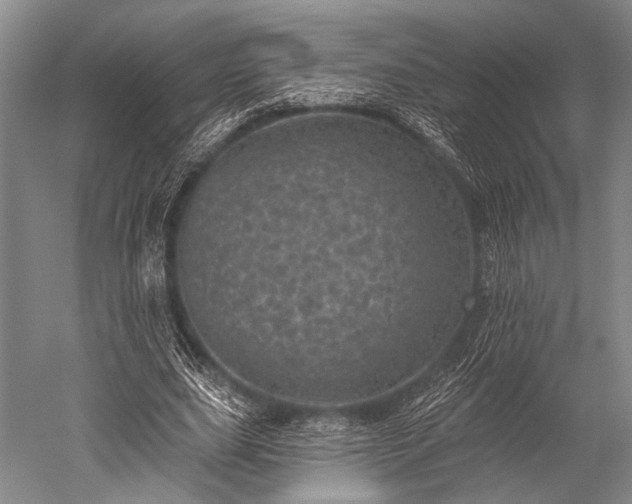 X0000052570631200507081702