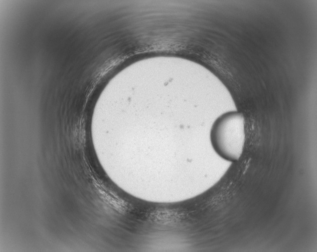 X0000052570632200507081702