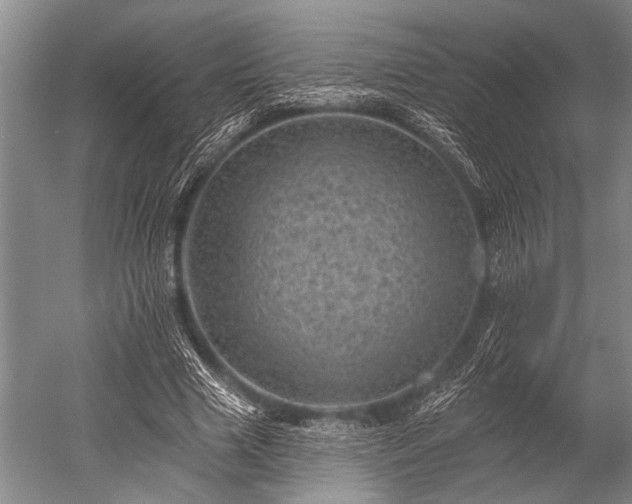 X0000052570633200507081702