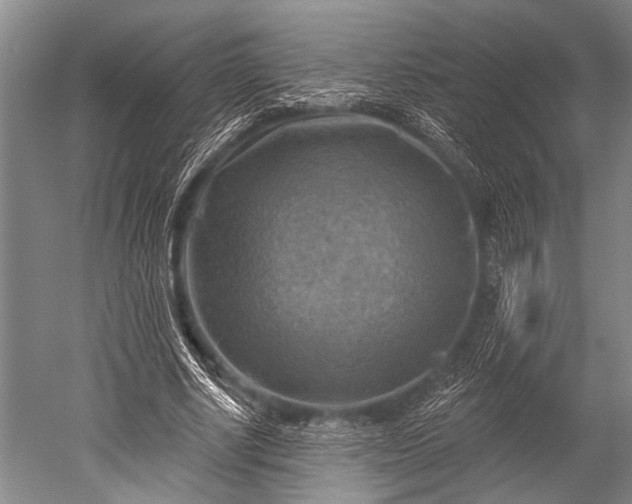 X0000052570634200507081702