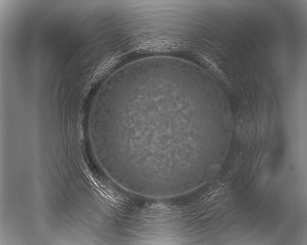 X0000052570635200507081702