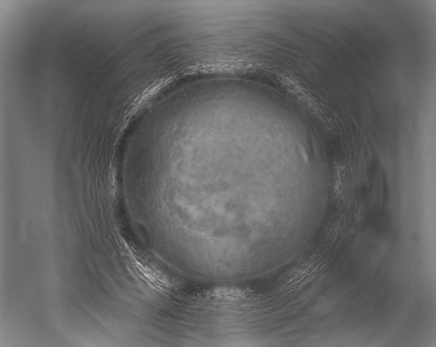 X0000052570636200507081702