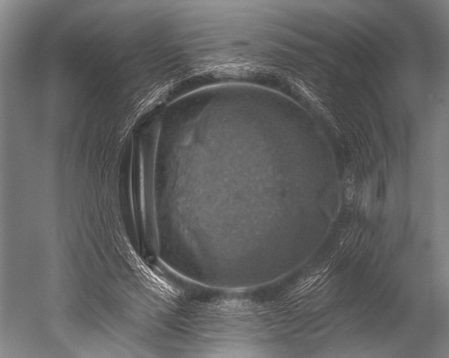 X0000052570637200507081702