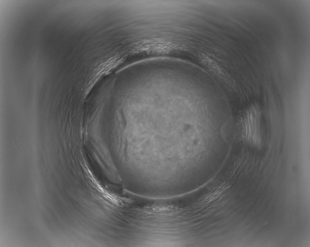 X0000052570638200507081703