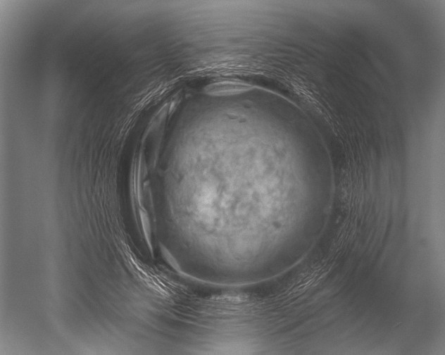 X0000052570639200507081703