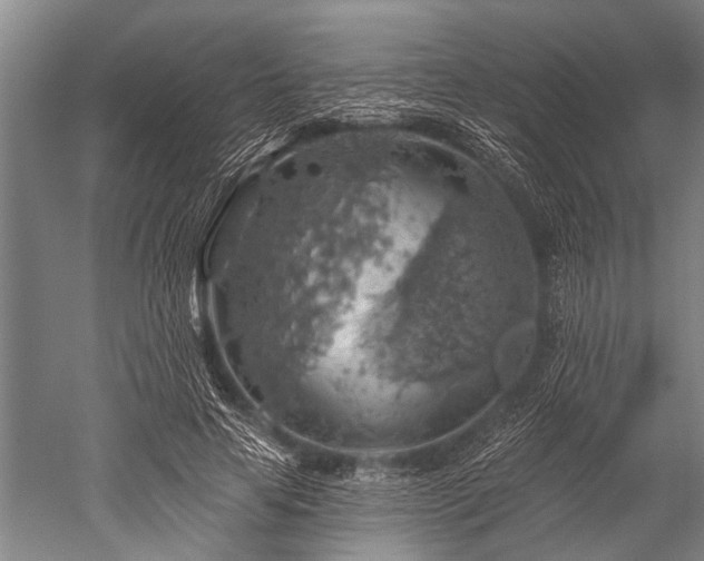 X0000052570641200507081703