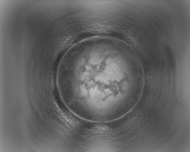 X0000052570642200507081703