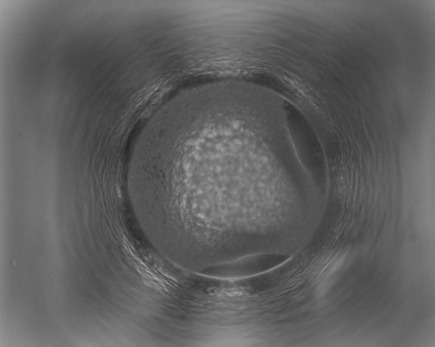 X0000052570643200507081703