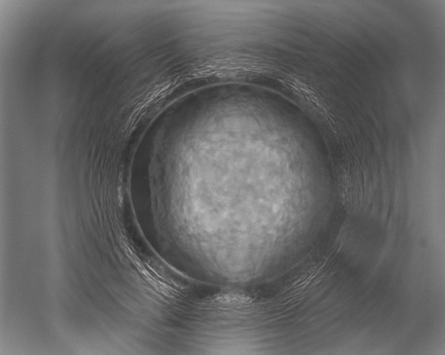 X0000052570644200507081703