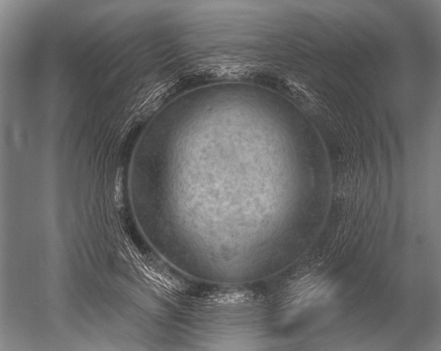 X0000052570646200507081703