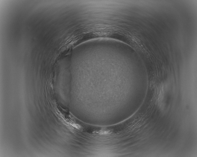 X0000052570647200507081703