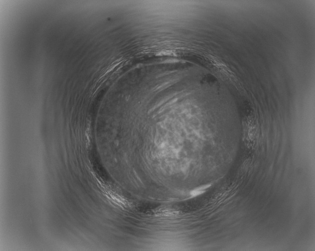 X0000052570648200507081703