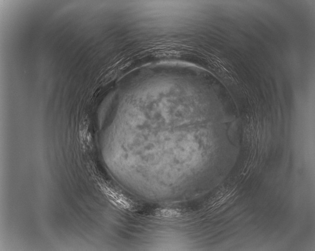 X0000052570649200507081703