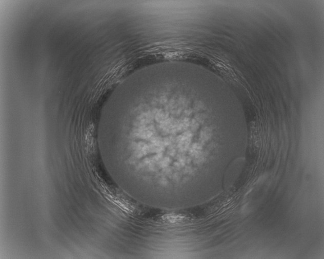 X0000052570650200507081703