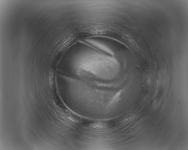 X0000052570652200507081703