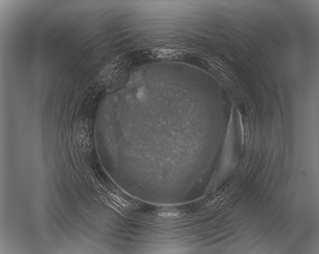 X0000052570653200507081703