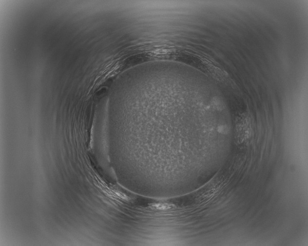 X0000052570654200507081703