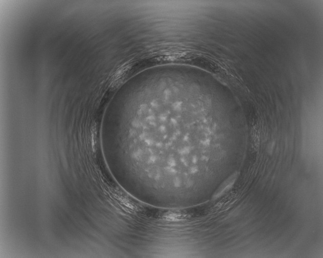 X0000052570657200507081703