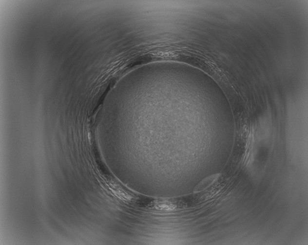 X0000052570658200507081703