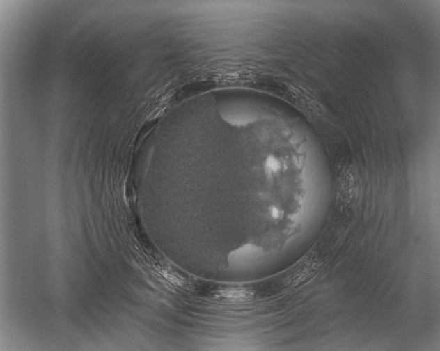 X0000052570659200507081703